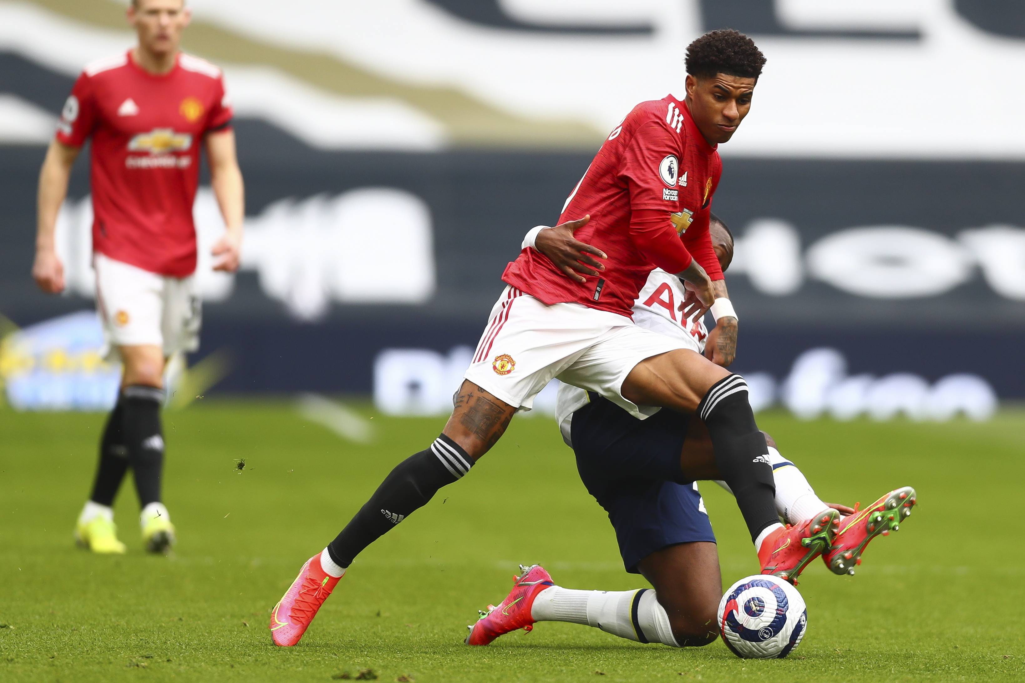 埃及前锋马 埃及前锋马