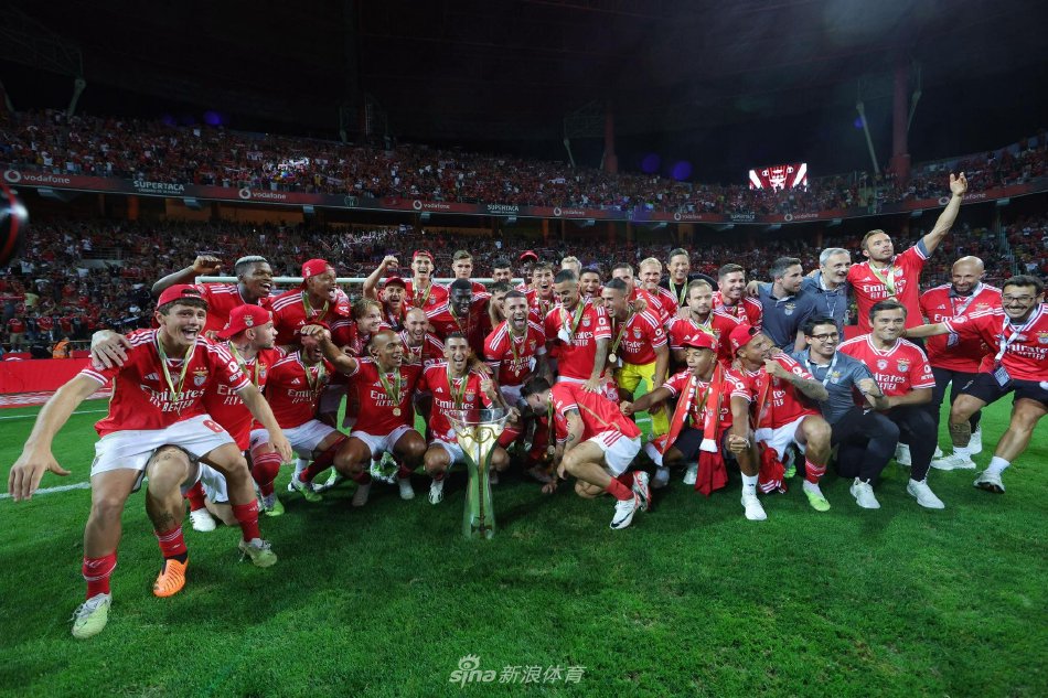 德斯的稳定 德斯的稳定